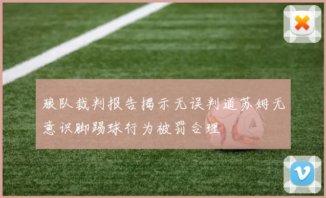 狼队裁判报告揭示无误判道苏姆无意识脚踢球行为被罚合理